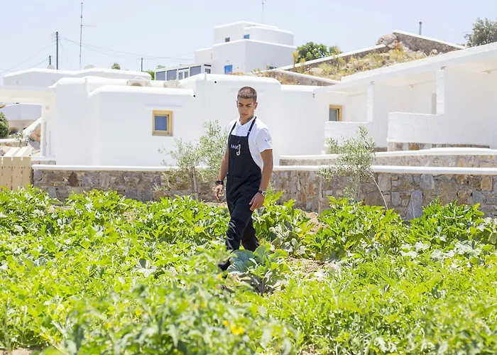 Jenny's Summer Lejlighed